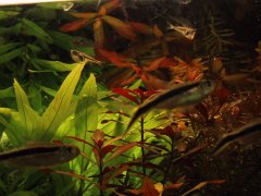 Img_0006.jpg